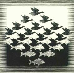 ESCHER:::::::::::!!INCRE&Iuml;BLE!!!!!!